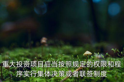 重大投資項目應當按照規(guī)定的權(quán)限和程序?qū)嵭屑w決策或者聯(lián)簽制度