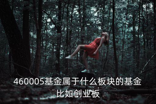 富國天益價(jià)值重倉什么板塊，460005基金屬于什么板塊的基金比如創(chuàng)業(yè)板