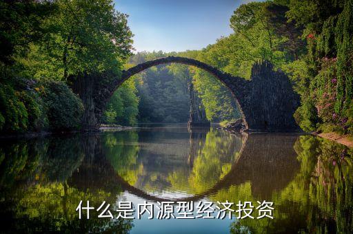 內(nèi)源性補(bǔ)充資本是指什么，公司上市募集資金常說要用于補(bǔ)充資本金請問這個資本金是資產(chǎn)