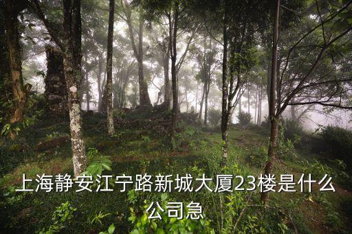 上海眾城大廈第23層是什么，上海浦東新區(qū)東方路818號(hào)眾城大廈1604室是什么公司啊
