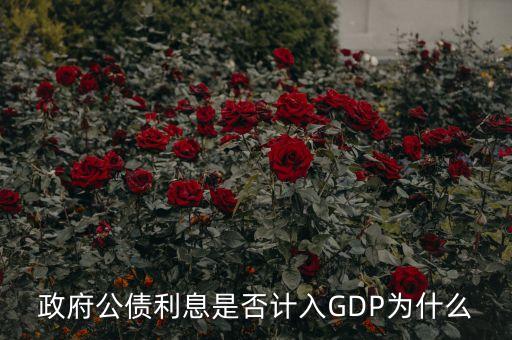 政府公債利息是什么，什么叫政府公債利息
