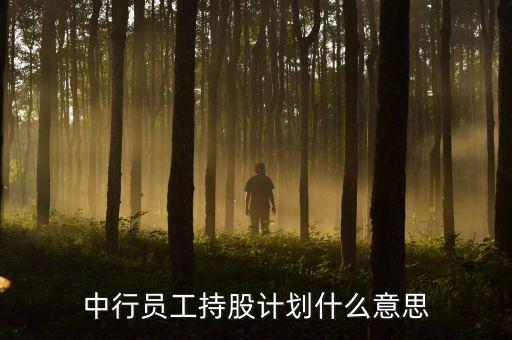 員工持股意味著什么，為什么要員工持股為什么老總要增持