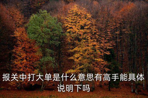 報(bào)關(guān)中的大單是什么意思，報(bào)關(guān)單里打大單是指哪些單怎么打