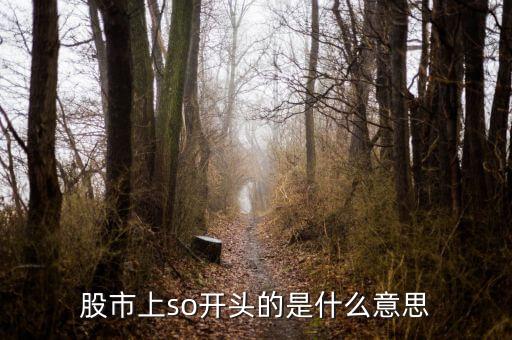 so股票什么意思，股市上so開頭的是什么意思