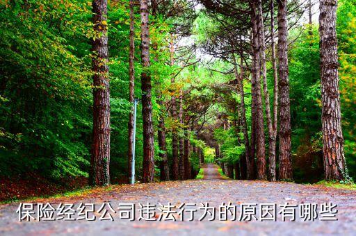 保險業(yè)金融機(jī)構(gòu)存在什么的違法行為，銀行保險業(yè)金融機(jī)構(gòu)涉黑涉惡禁止行為有哪些