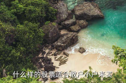 小散買什么股如，什么樣的股票適合散戶小戶來買