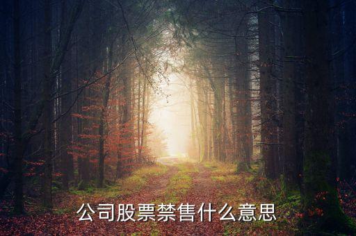 什么是禁售股，公司股票禁售什么意思