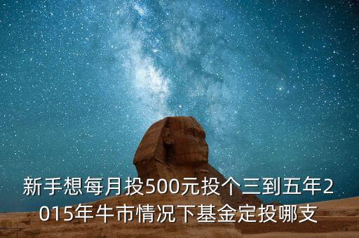 2015年新手買什么基金好，2015買什么基金比較好