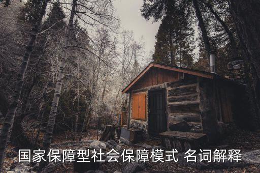 保障型保險什么意思，國家保障型社會保障模式 名詞解釋