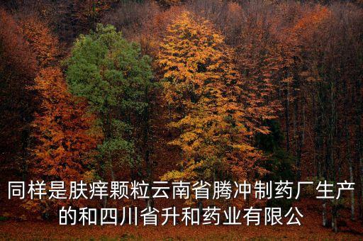騰沖制藥廠是什么企業(yè)，云南騰沖制藥廠制造的人參再造丸