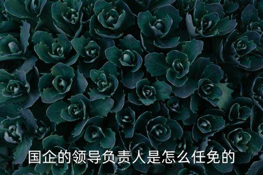 國企的領導負責人是怎么任免的