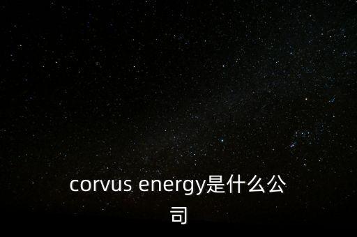 智慧松德是什么公司，corvus energy是什么公司
