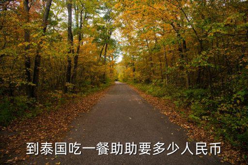 助幣是什么意思，到泰國吃一餐助助要多少人民幣