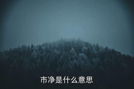 什么叫市凈率，什么是市凈率和市盈率