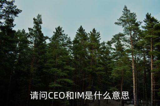 光大富尊IM是是什么，請(qǐng)問CEO和IM是什么意思