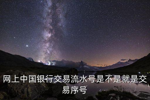 中國(guó)銀行企業(yè)網(wǎng)銀轉(zhuǎn)賬批次號(hào)什么意思，企業(yè)網(wǎng)銀客戶號(hào)是什么意思