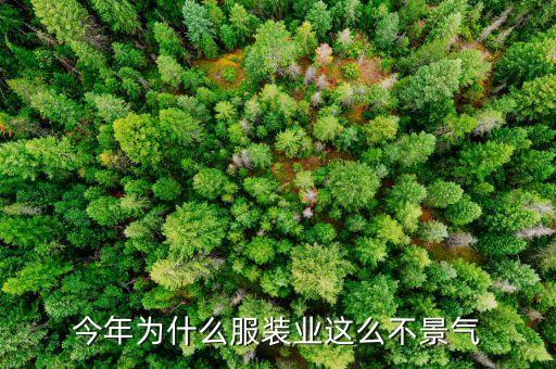 服裝業(yè)為什么不景氣，現(xiàn)在服裝企業(yè)為什么這么不景氣