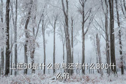 上證50什么意思，上證50是什么意思還有什么800什么的