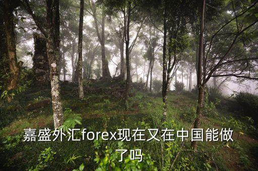 嘉盛外匯為什么2008年退出中國，請問嘉盛怎樣了解的給說下謝了