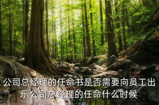 國企高管任免時(shí)間什么時(shí)候，國企的領(lǐng)導(dǎo)負(fù)責(zé)人是怎么任免的
