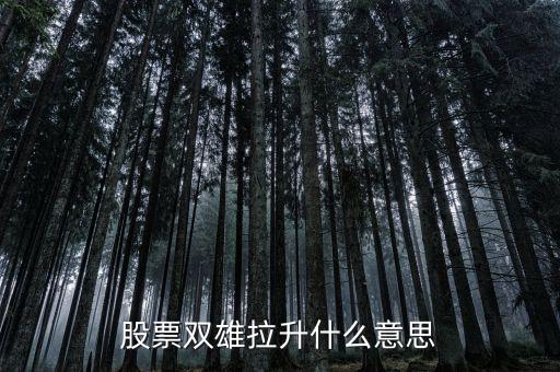 石化雙雄漲停意味著什么，股票雙雄拉升什么意思