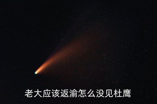 張曉強杜鷹為什么，發(fā)改委副主任杜鷹是誰的孩子