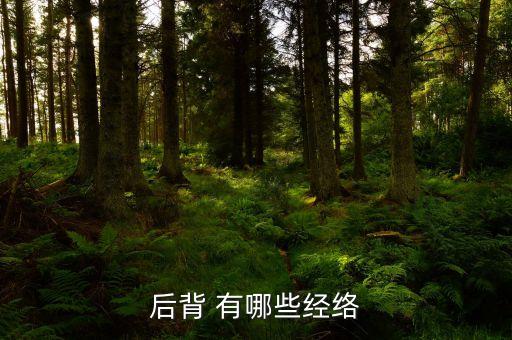 后背 有哪些經絡