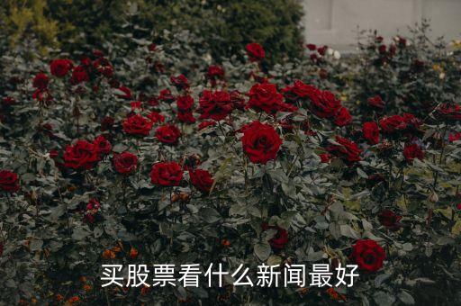 炒股看什么看什么財經(jīng)，有什么比較好的推薦股票的財經(jīng)節(jié)目
