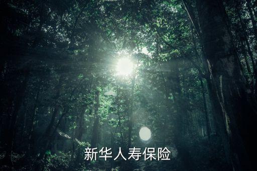新華保險康典是什么級別，新華人壽保險