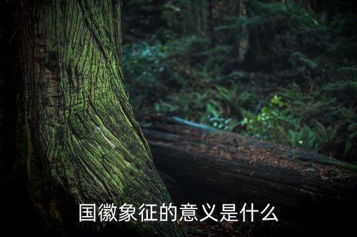 國(guó)琪意義是什么，國(guó)徽象征的意義是什么