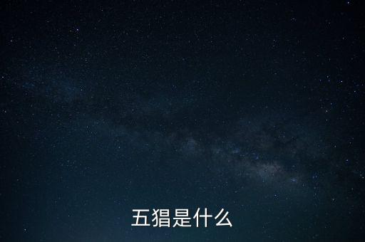 什么是創(chuàng)智5，YY上面的五項(xiàng)創(chuàng)始人是誰