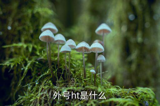 買受人號碼ht是什么，備案合同中買受人號碼HT