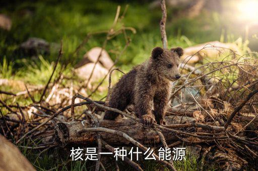 核能是什么能源，核能是一種什么的能源嗎