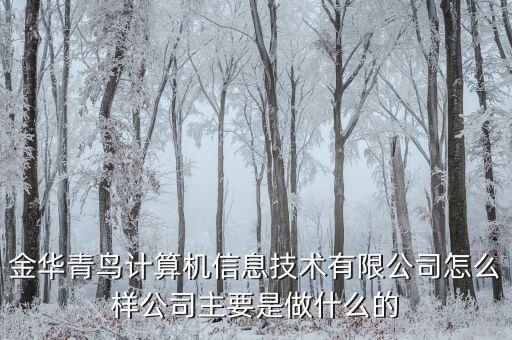 青鳥華光是做什么的，送機員是做什么的