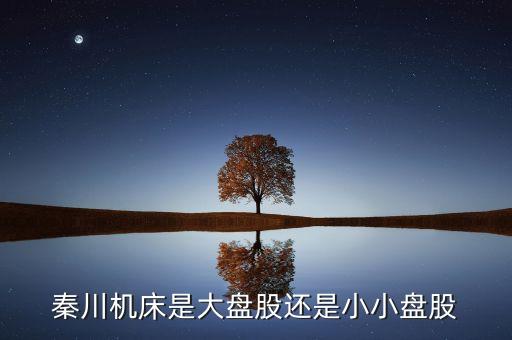 秦川機(jī)床是什么板塊的，600248是屬于什么板塊的股有潛力沒(méi)的能看高到多少價(jià)位