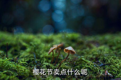 櫻花節(jié)賣(mài)點(diǎn)什么呢