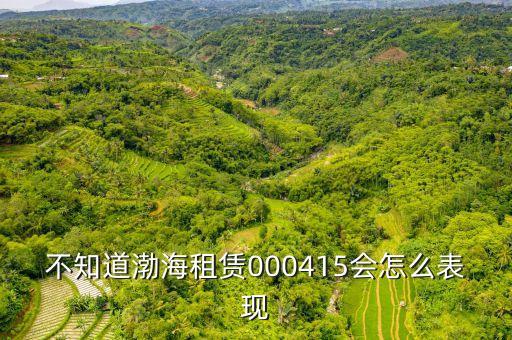 渤海租賃為什么漲的慢，不知道渤海租賃000415會(huì)怎么表現(xiàn)