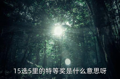 15選5 什么是特等獎(jiǎng)，15選5 怎么算中特等獎(jiǎng)