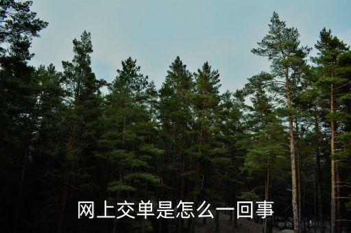 什么叫電子交單，網(wǎng)上交單是怎么一回事