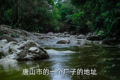 同方國芯的總部為什么在玉田縣，唐山市的一個廠子的地址