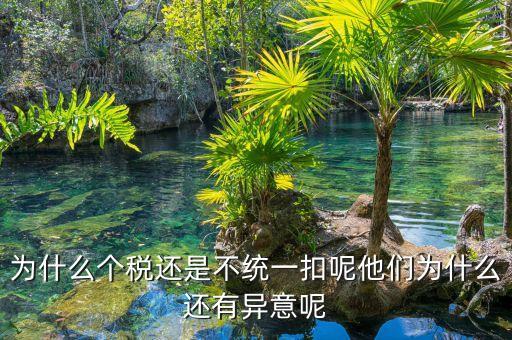 個(gè)稅為什么盲區(qū)，為什么個(gè)稅還是不統(tǒng)一扣呢他們?yōu)槭裁催€有異意呢