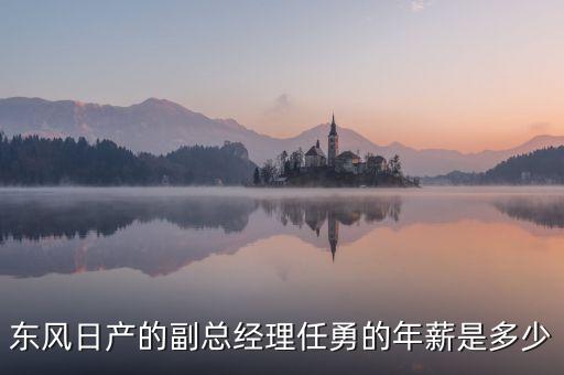 任勇為什么不是東風公司副總，東風日產(chǎn)任勇總經(jīng)理
