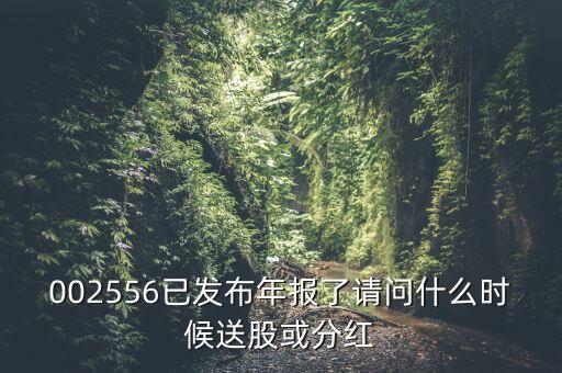 深圳能源什么時候送股，深圳能源什么時候送股