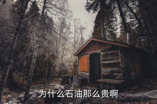 石油為什么這貴，石油為何那么貴