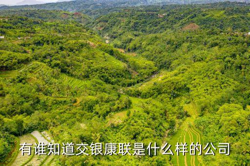 交銀康聯(lián)是什么公司，有誰知道交銀康聯(lián)是什么樣的公司