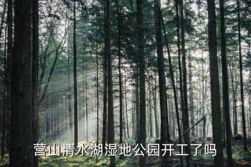 岱湖濕地什么開工，營山清水湖濕地公園開工了嗎