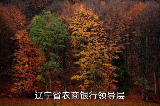 遼寧什么信用聯(lián)社理事長名單，遼寧省農(nóng)村信用社聯(lián)合社現(xiàn)在叫什么名
