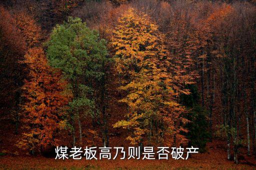 七千萬嫁女煤老板為什么會破產，太原迎賓車站附近最近奇聞