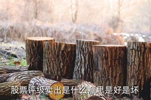 股票沽售評級什么意思，請問什么是惜售什么是沽售