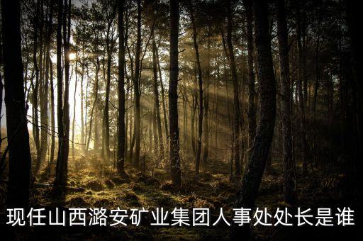潞安集團常興煤業(yè)領(lǐng)導(dǎo)名叫什么，現(xiàn)任山西潞安礦業(yè)集團人事處處長是誰